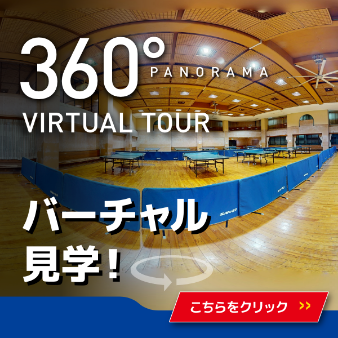 PANORAMA VIRTUAL TOUR